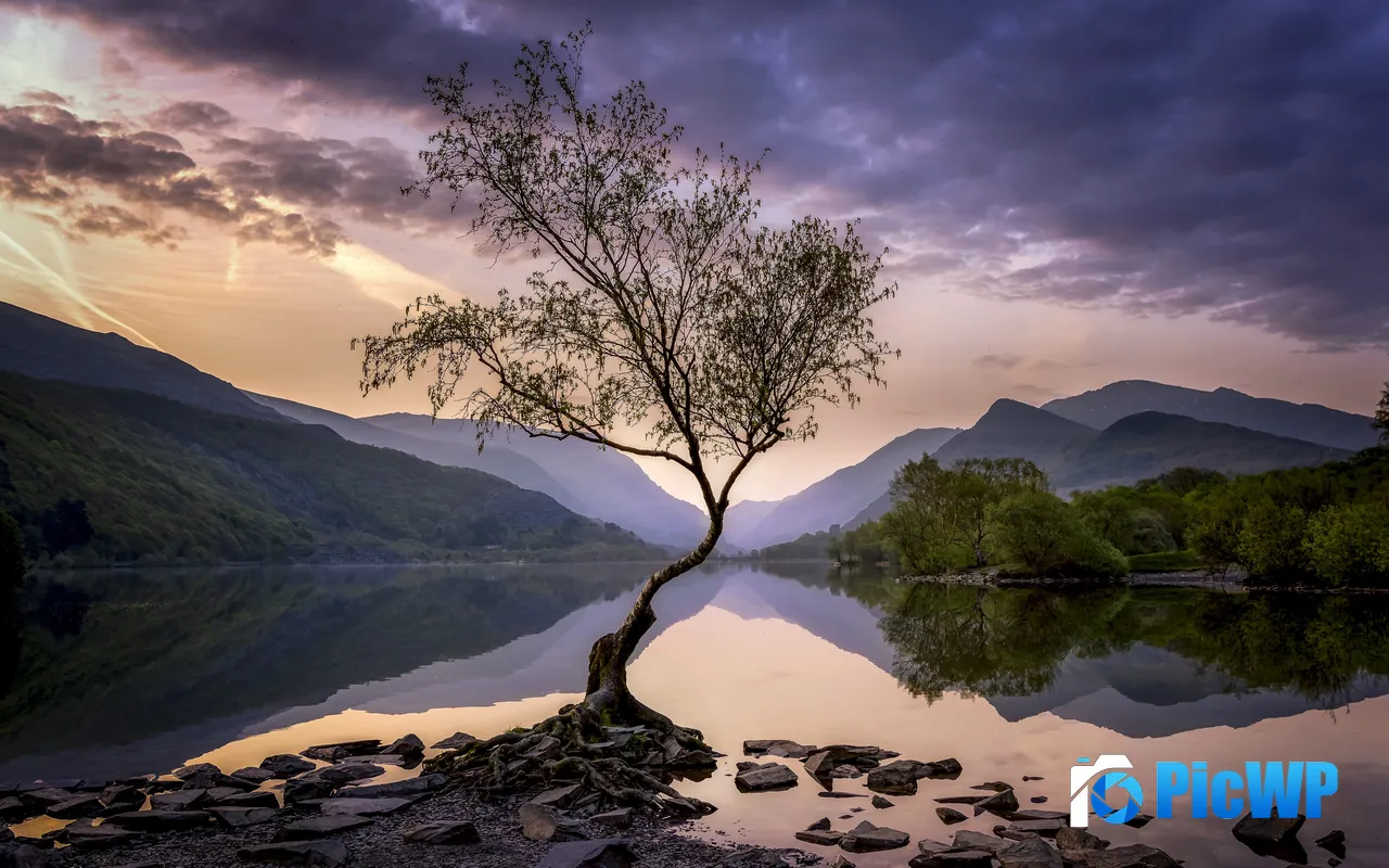 Lone Tree Lake Dawn <font color=red>Snow</font>donia National Park 5K PC Wallpaper