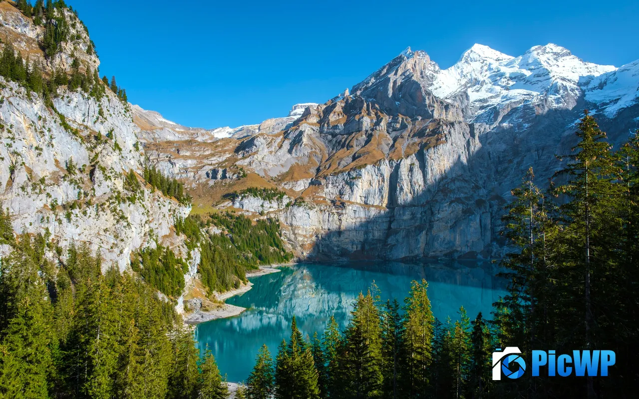 Oeschinen Lake Valley Forest Kandersteg Switzerland 5K PC Wallpaper
