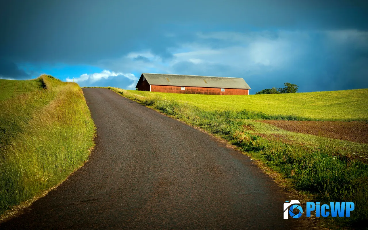 Suburbs Road Grassland Wood House Scenery 5K PC Wallpaper