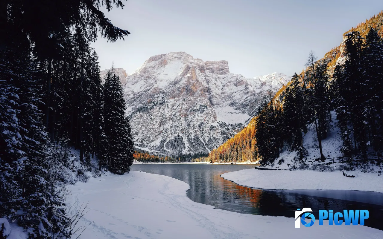 Snow Mountains Forest River Sunshine Scenery 5K PC Wallpaper