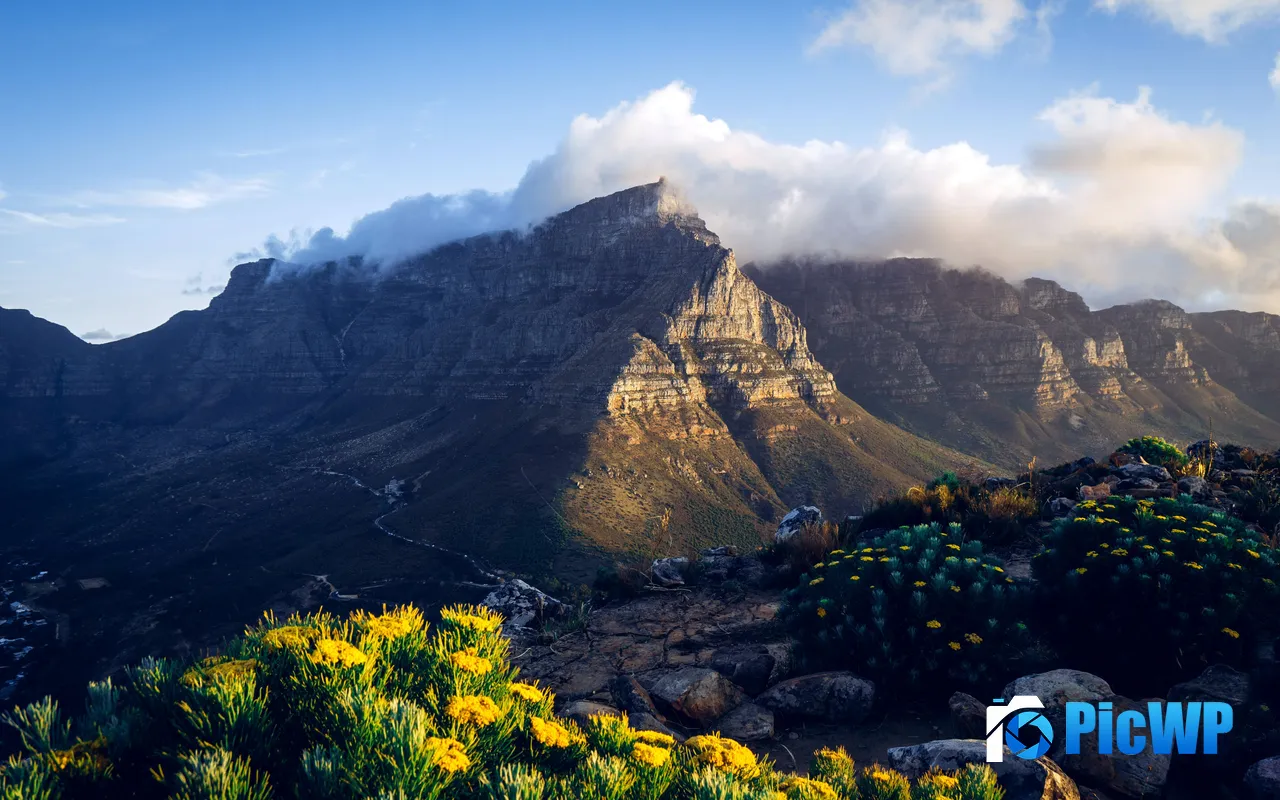 Flower Mountains Valley Cape Town South Africa 5K PC Wallpaper