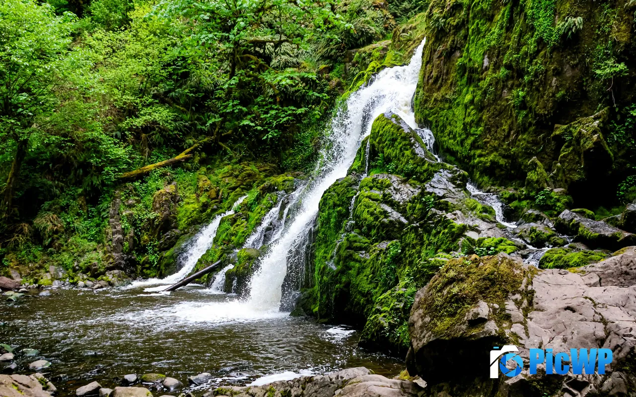2026 Spring Little Mashel River Waterfalls Washington USA 5K PC Wallpaper