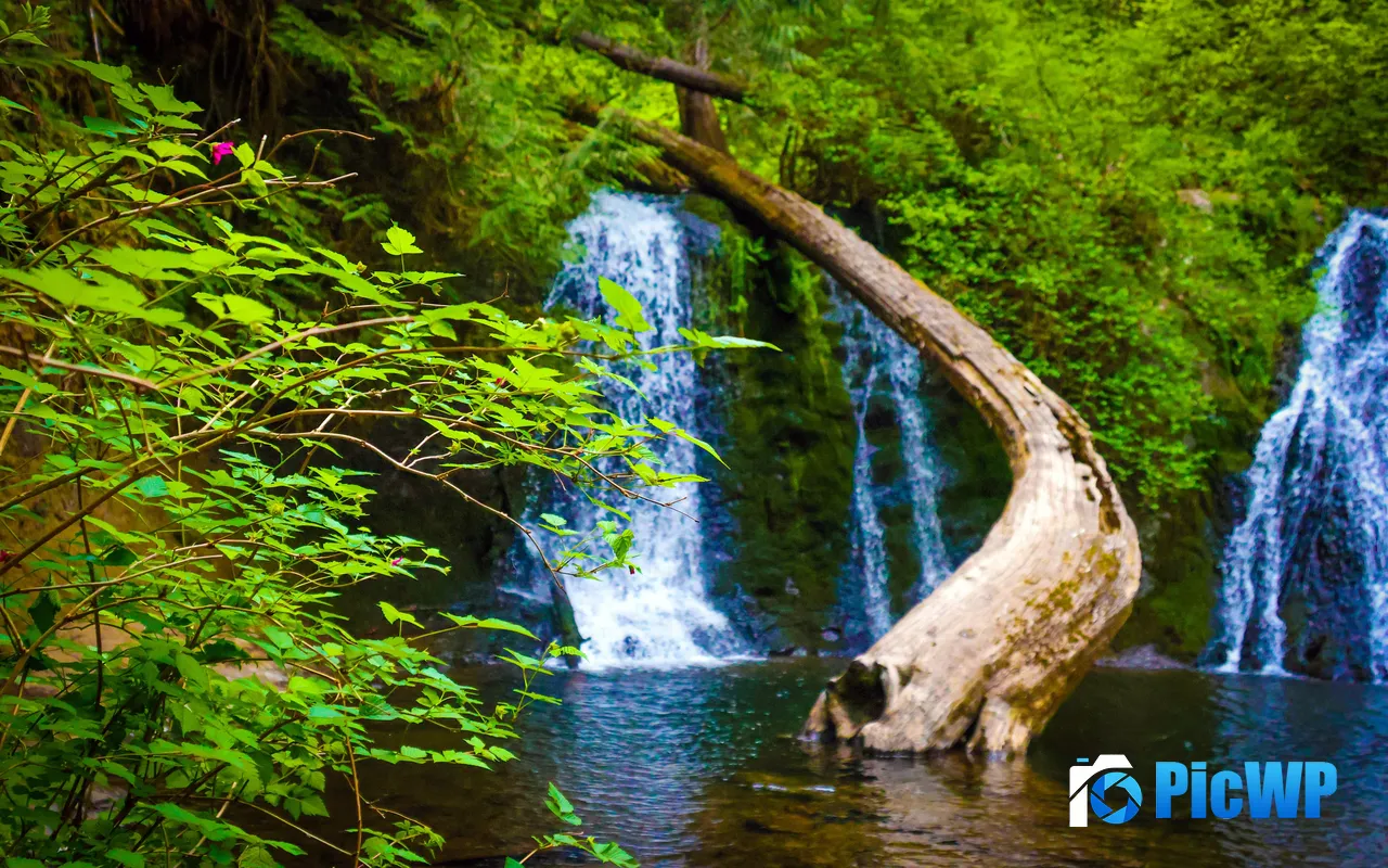 Cherry Creek Falls Kelly Road Northeast Duvall WA USA 5K PC Wallpaper