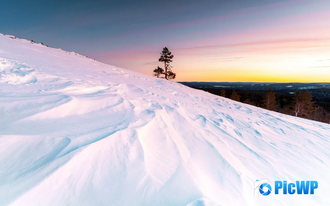 Snow Mountains Hillsides Lone Trees Sunset Kittila Finland 5K PC Wallpaper