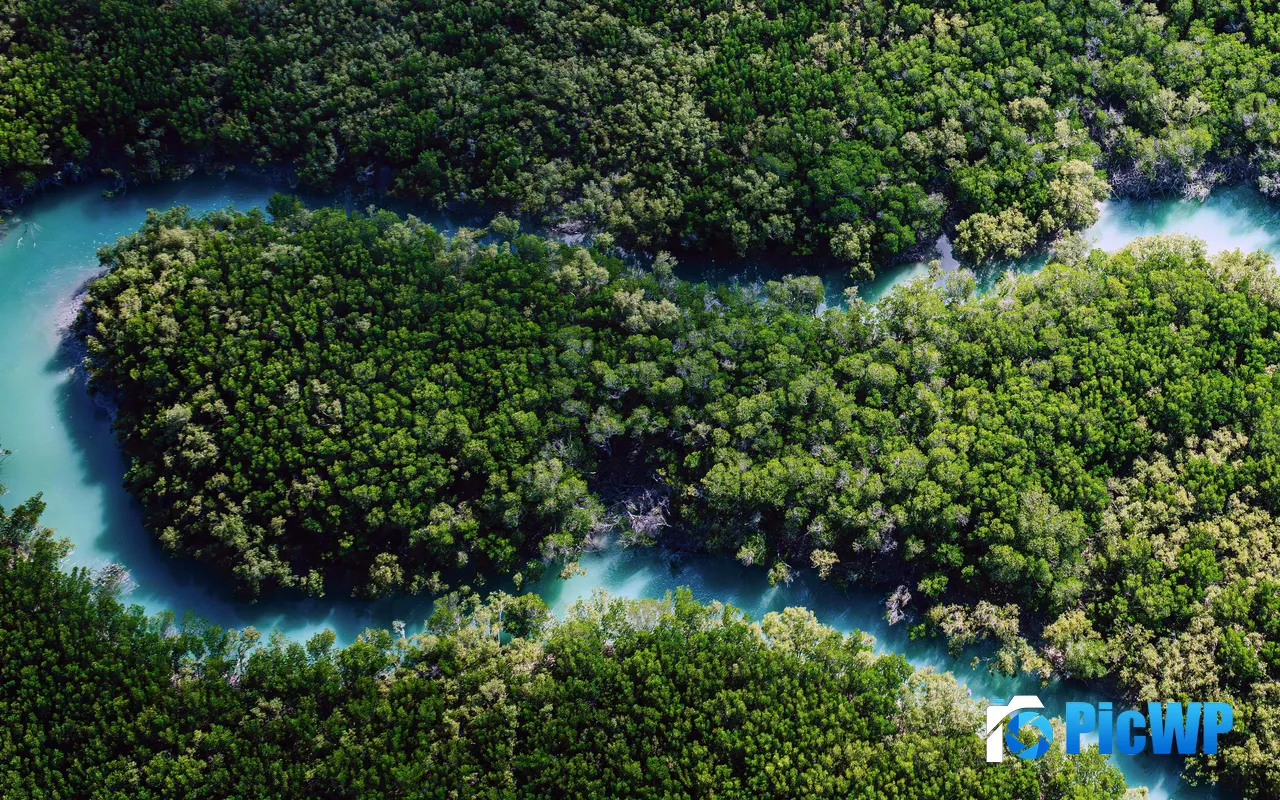 Lush Tropical Rain<font color=red>for</font>est Rivers Winding Fresh Green 5K PC Wallpaper