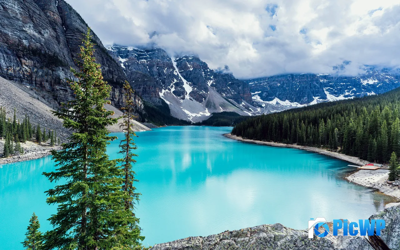 Moraine Lake Cloud Valley Jungle Lake Louise Canada 5K PC Wallpaper