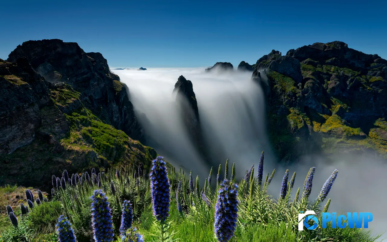 Clouds <font color=red>and</font> mist Canyons Viewpoint Madeira Portugal 5K PC Wallpaper