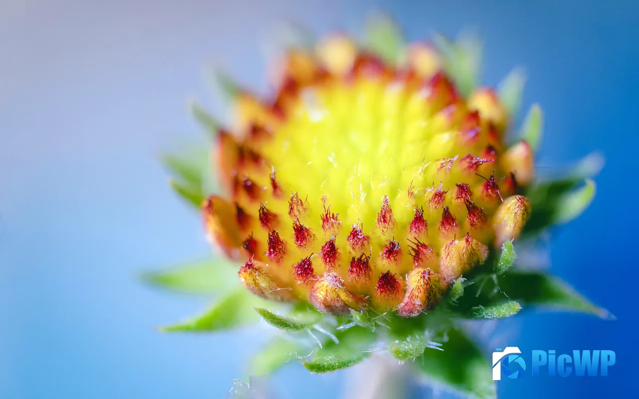 Strawberry Berry Petal <font color=red>Plan</font>t Green Fresh 5K PC Wallpaper