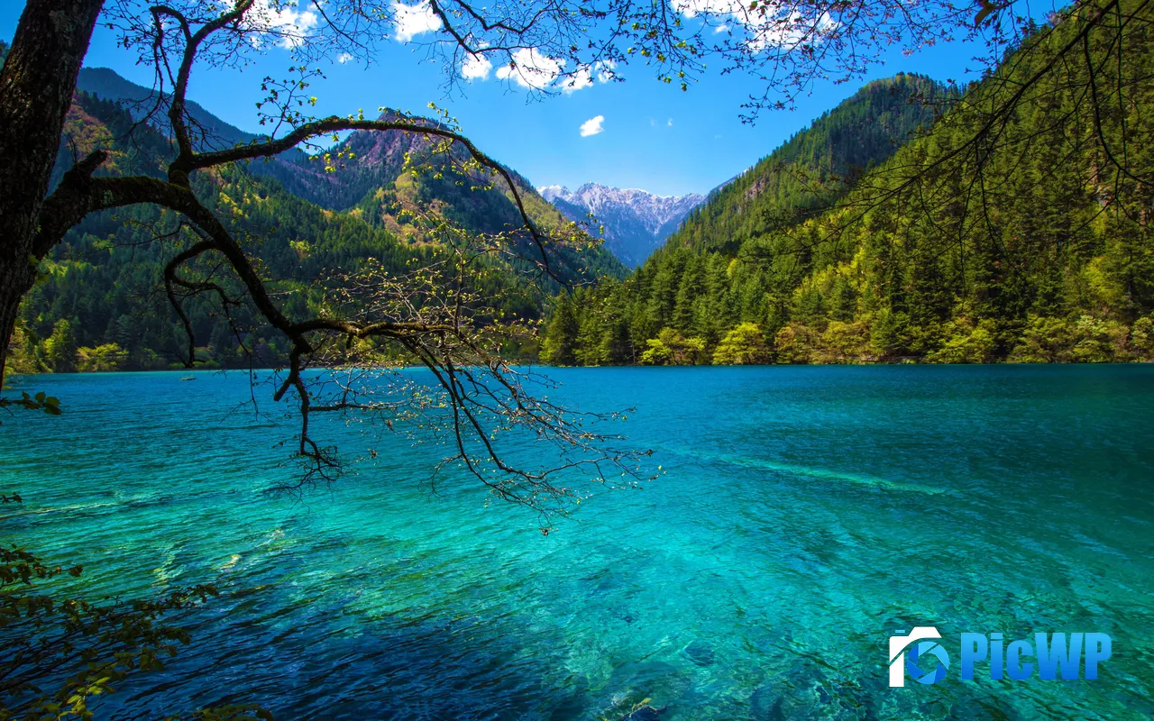 Summer Lake Jiuzhaigou National Park <font color=red>Sichuan</font> China 5K PC Wallpaper