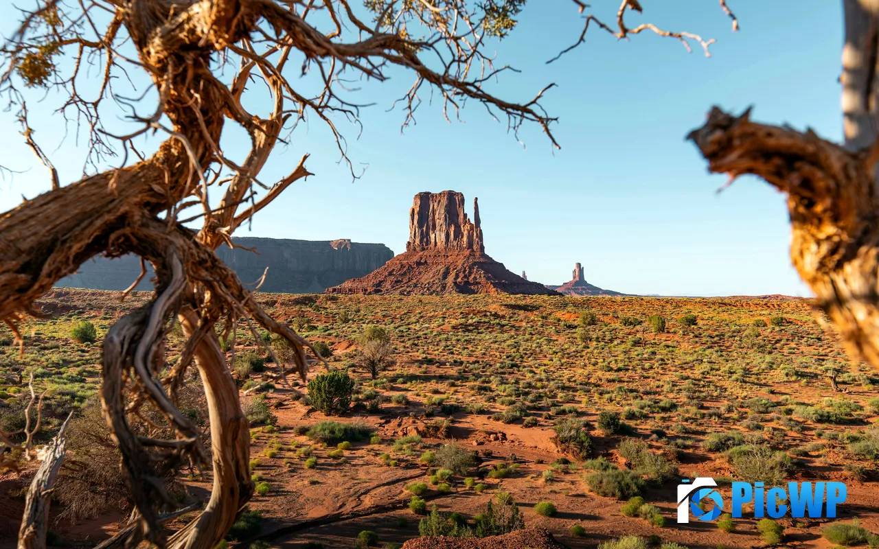 Dead tree Plateau Monument Valley Arizona USA 5K PC Wallpaper