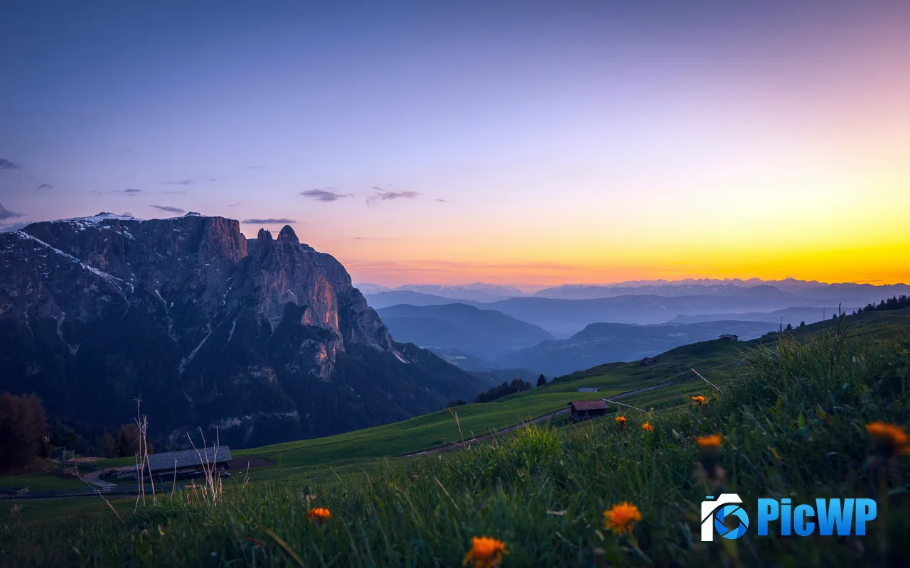 Horizon Alps Mountain Valley Wildflower Sunset Swiss 5K PC Wallpaper