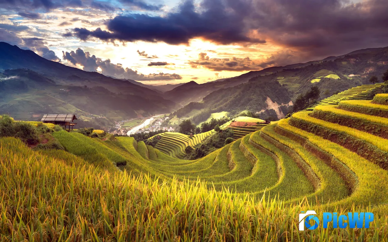 Summer Rice Sunset Terraced fields Guangxi China 5K PC Wallpaper