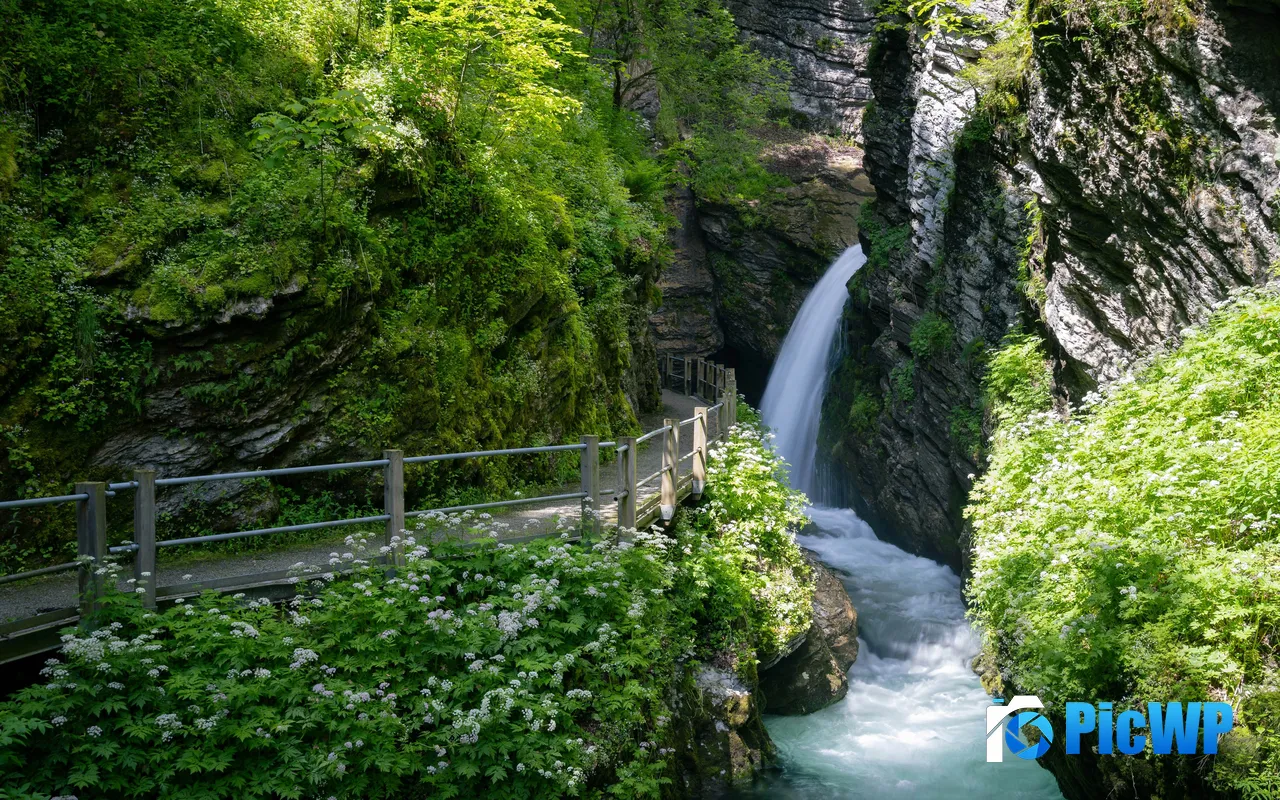 Green Jungle Valley Trail Waterfall River Switzerland 5K PC Wallpaper