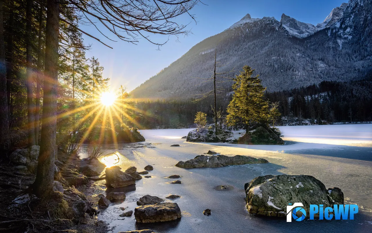 Forest River Sunshine Ramsau Berchtesgaden Germany 5K PC Wallpaper
