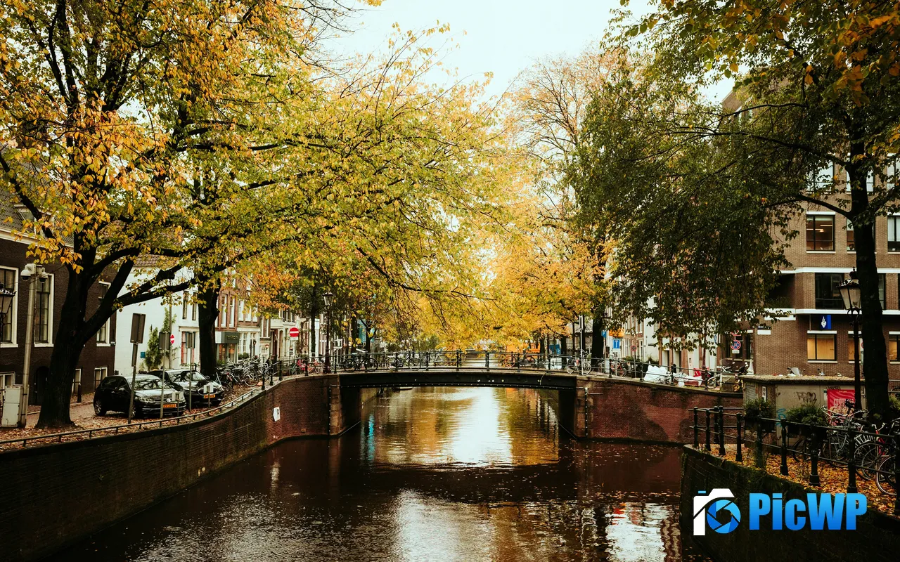 Autumn River Small Bridge Town Amsterdam Netherlands 5K PC Wallpaper