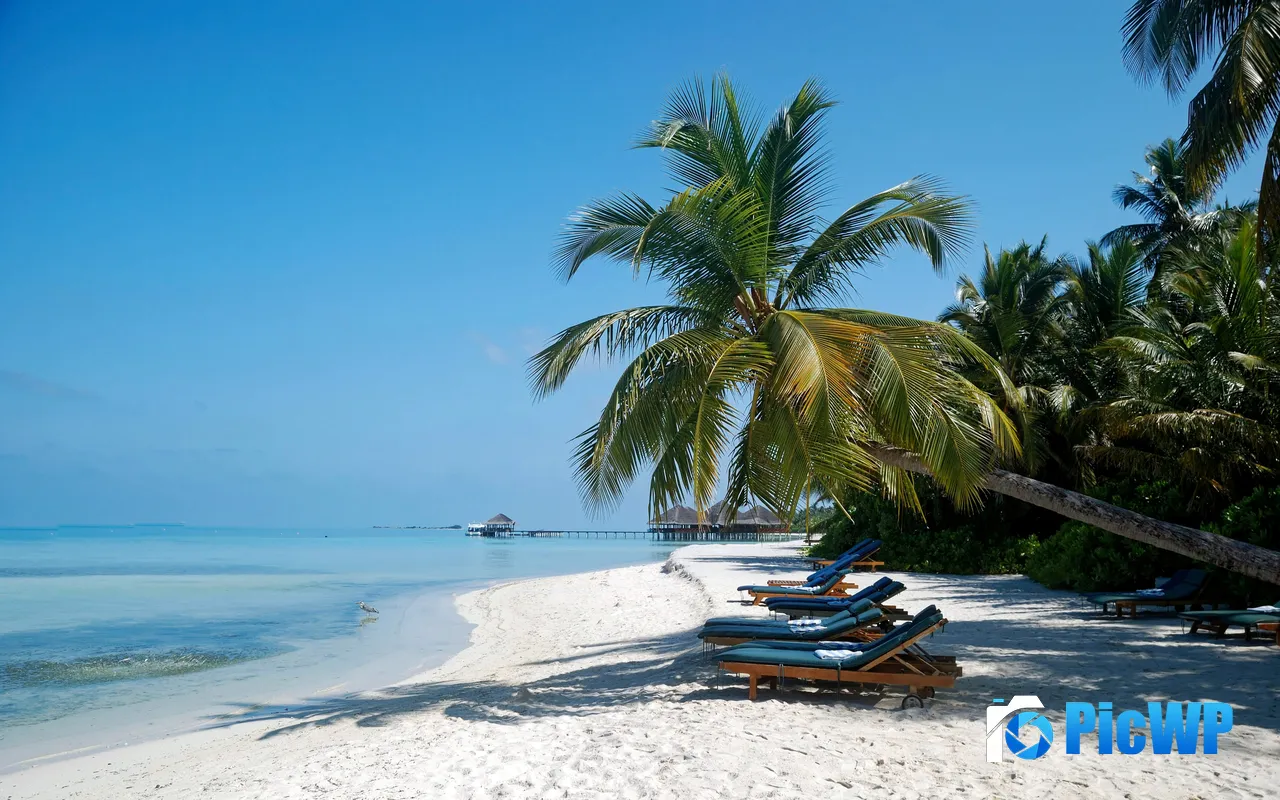 Tropical island Blue Lovely Beach Maldives 5K PC Wallpaper
