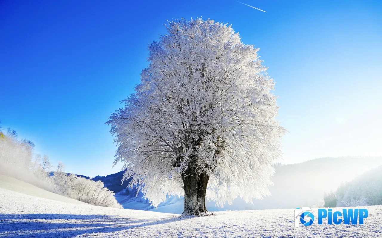 Rime Snowy Mountains Lonely Tree Sunny Day Landscape 5K PC Wallpaper