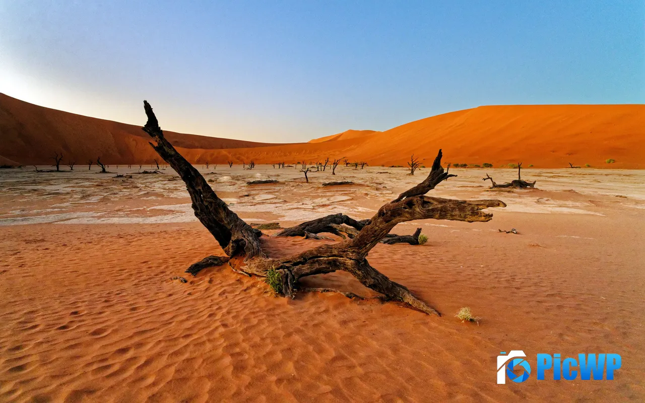 Namibia Dramatic Desert Landscape Dead Tree 5K PC Wallpaper