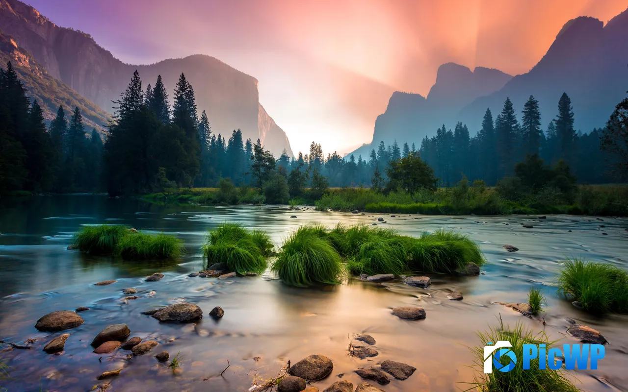 Yosemite Park Valley Clumps Grass River Pine Morning 5K PC Wallpaper