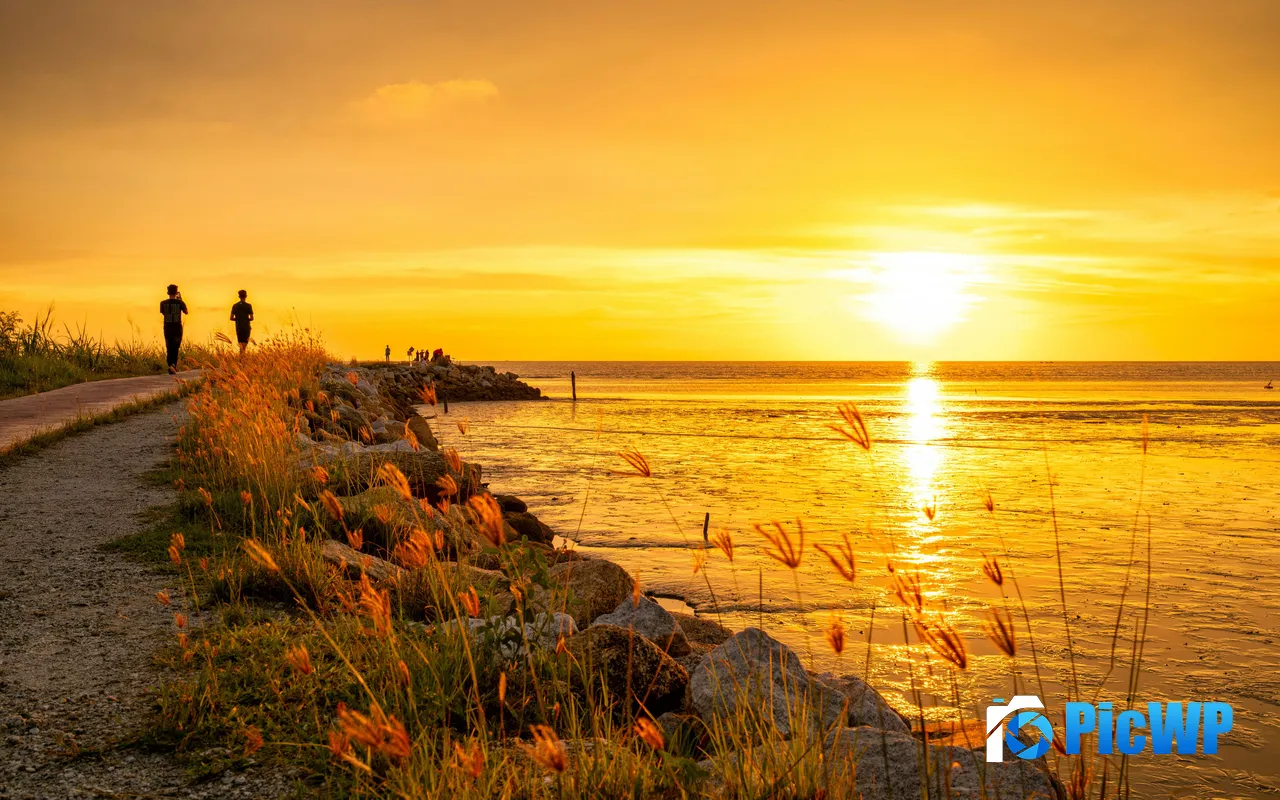 Golden Sunset Summer Coast Sunshine Horizon 5K PC Wallpaper