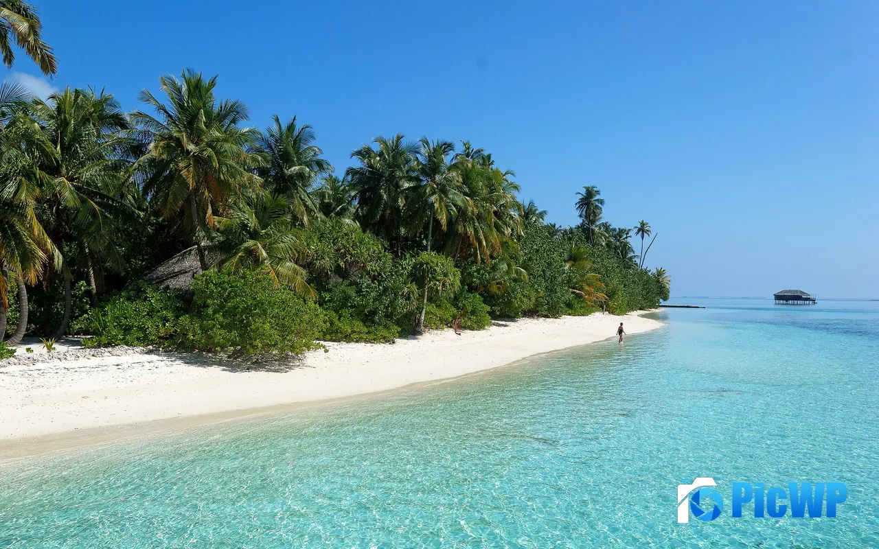 Tropical isl<font color=red>and</font> Paradise Lovely Beach Maldives 5K PC Wallpaper