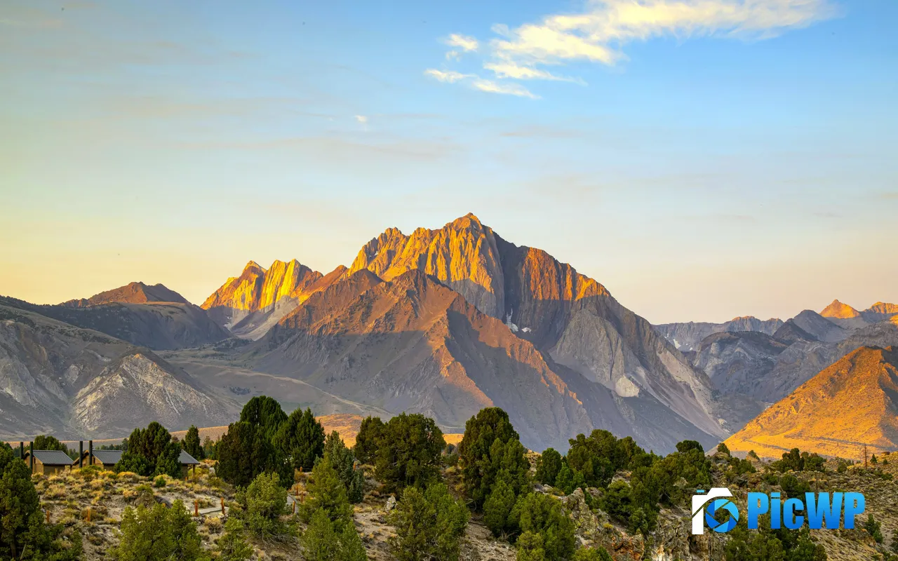 Sunrise Trees Valley Rocky Mountains Scenery 5K PC Wallpaper