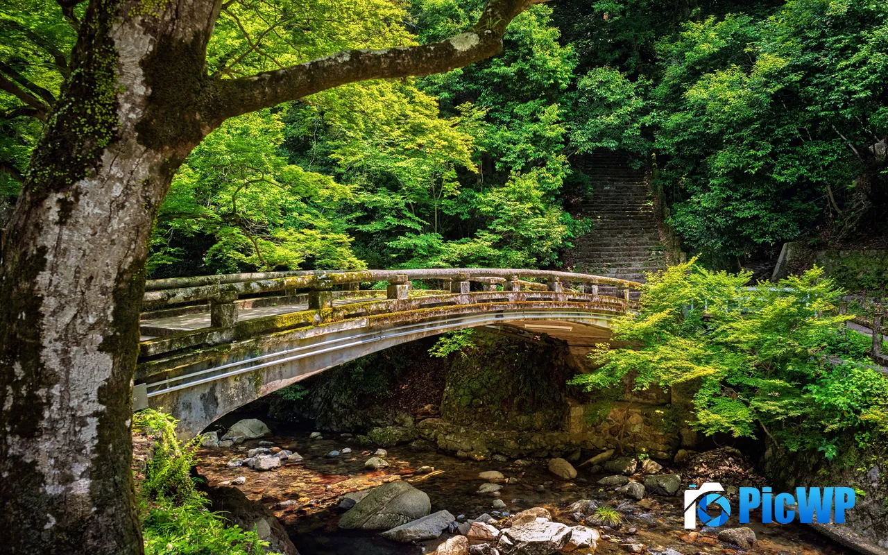 Minoh Bridge River Park Steps Jungle Japan 5K PC Wallpaper