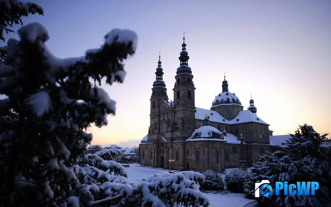 Jungle Snow Mountain Castle Fulda Germany 5K PC Wallpaper