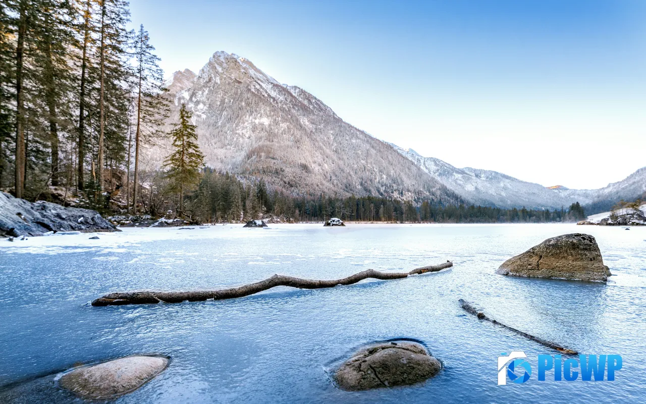 Dead Wood Snowy Mountains Frozen Lake Winter Germany 5K PC Wallpaper