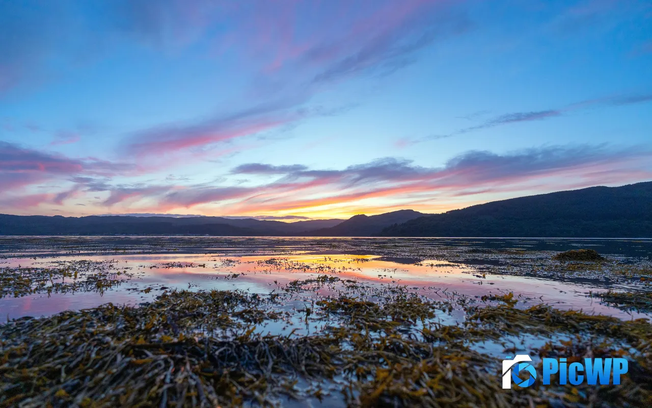 Lake Shore Dusk Sunset Tidal Flats Wetland Park 5K PC Wallpaper
