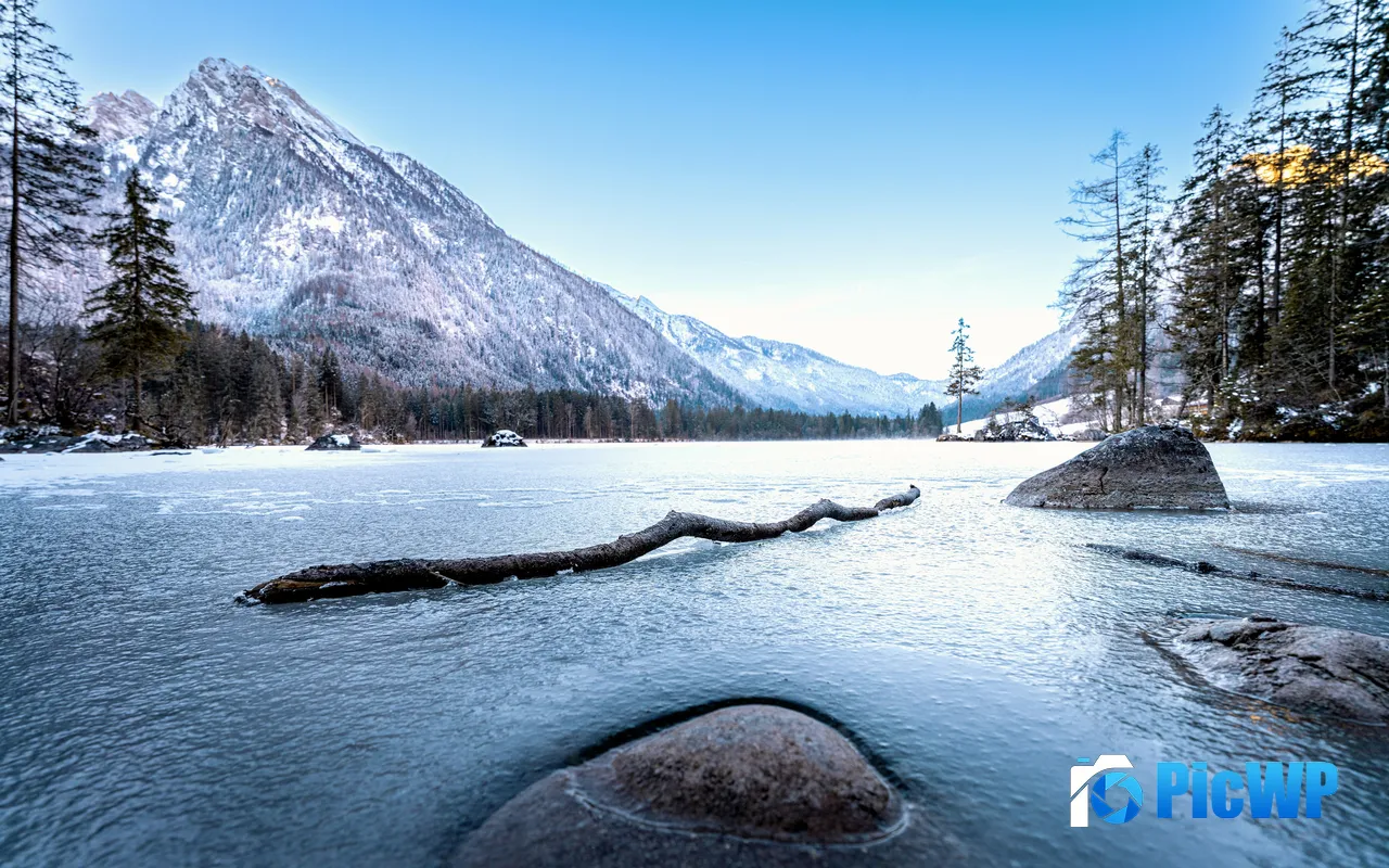 Frozen Lake Dead wood Snowy Mountains Stone Germany 5K PC Wallpaper