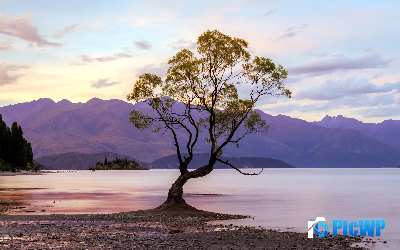 Lonely Tree Lake High Mountains Dusk Landscape 5K PC Wallpaper