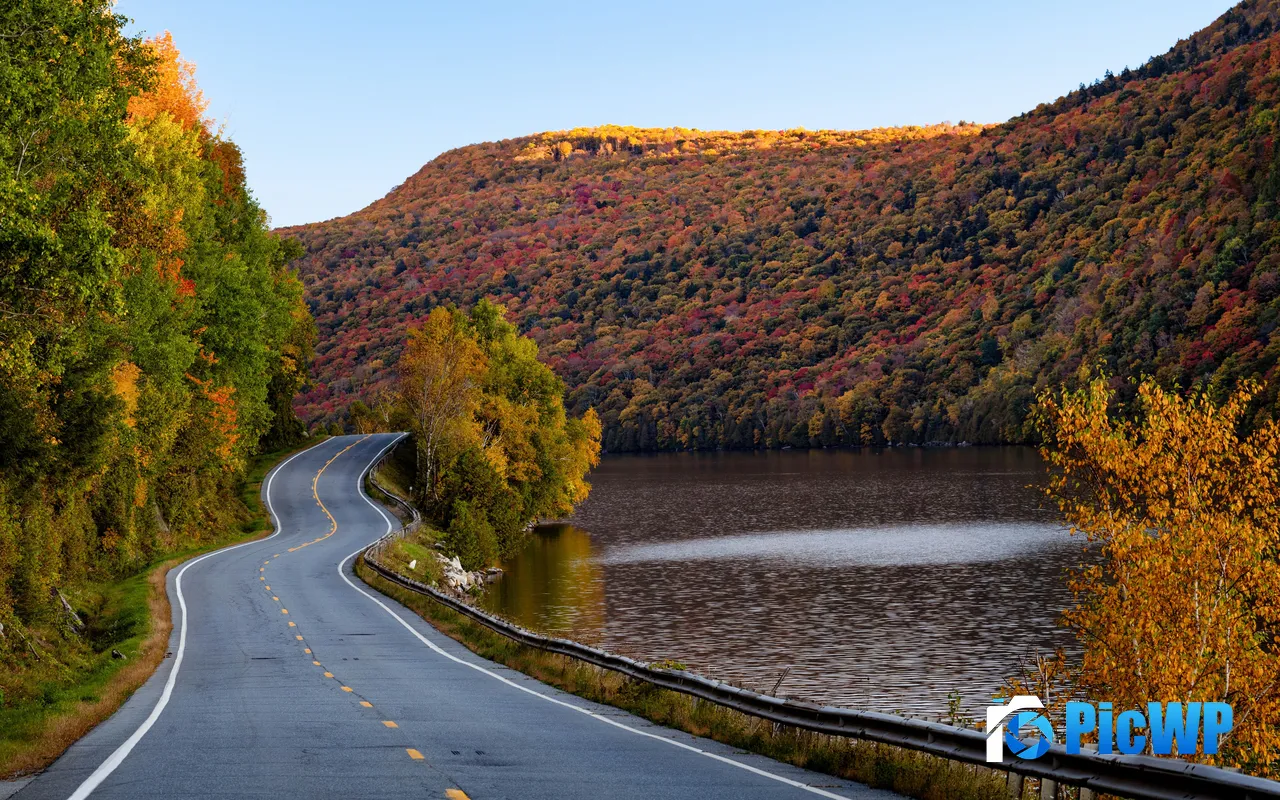 Autumn Lakeside Forest Road New Hampshire USA 5K PC Wallpaper
