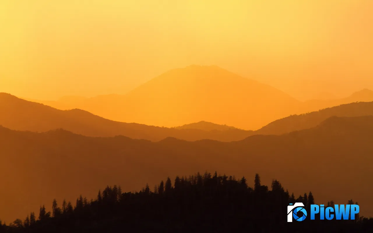 Forest Sunset Sequoia National Park California USA 5K PC Wallpaper
