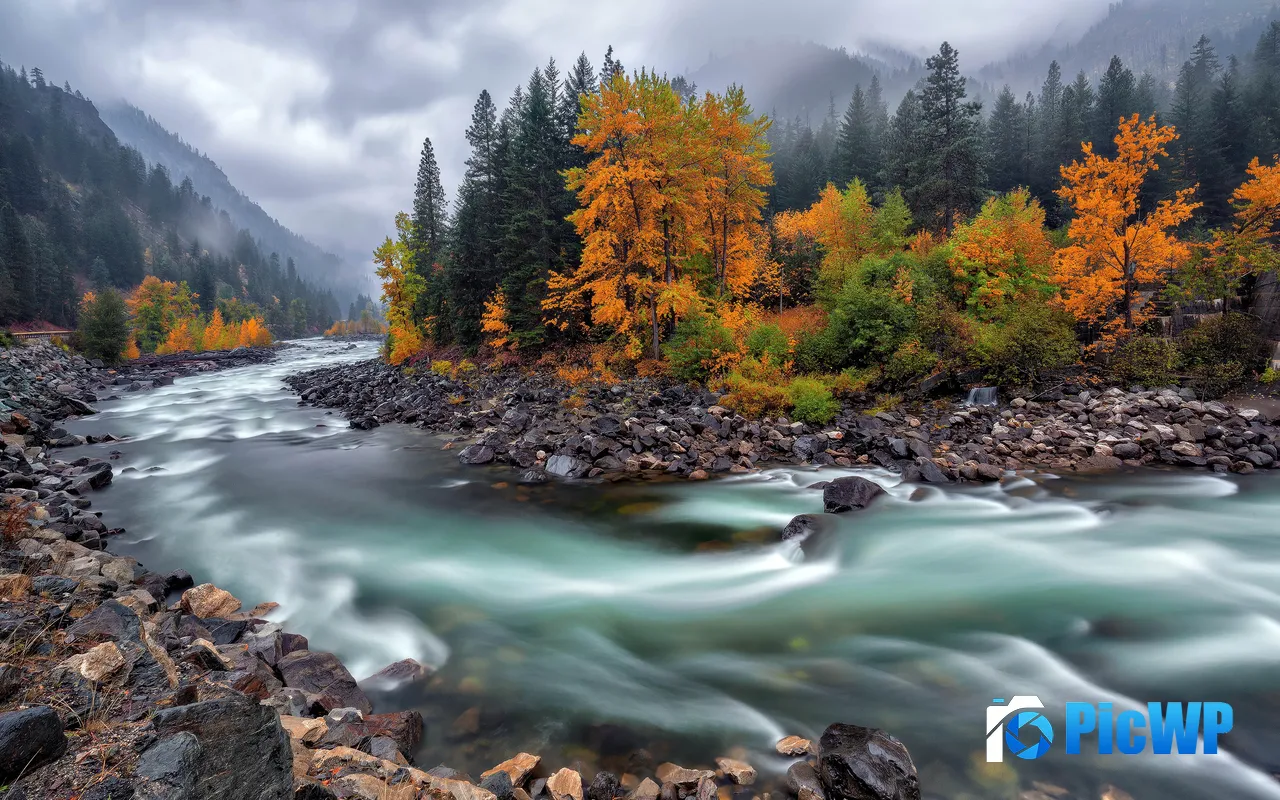 Cold <font color=red>A</font>utumn Day River Forest Park Pine Tree Fog 5K PC Wallpaper