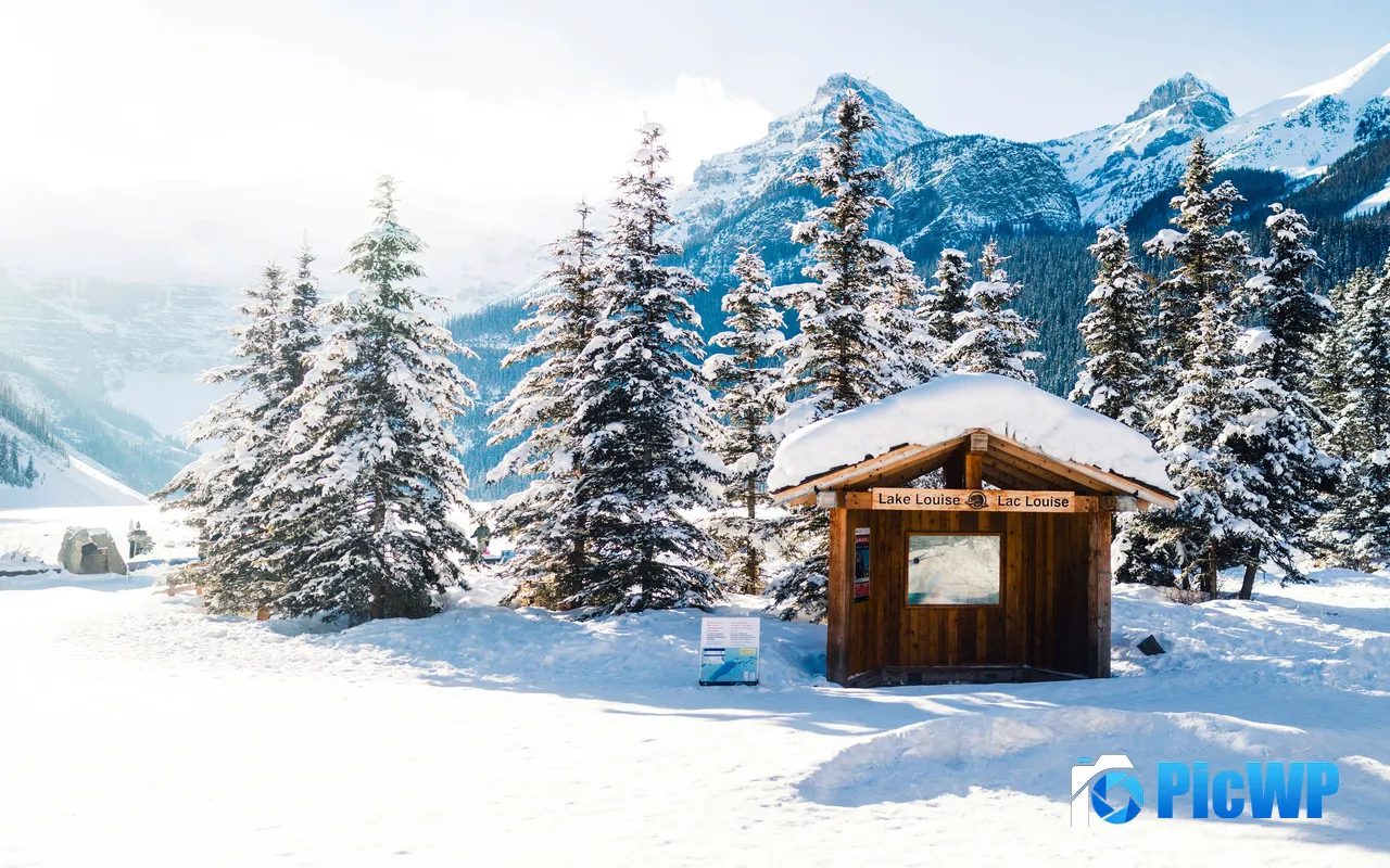 Winter Snow Mountain Pinaster Lake Louise Canada 5K PC Wallpaper