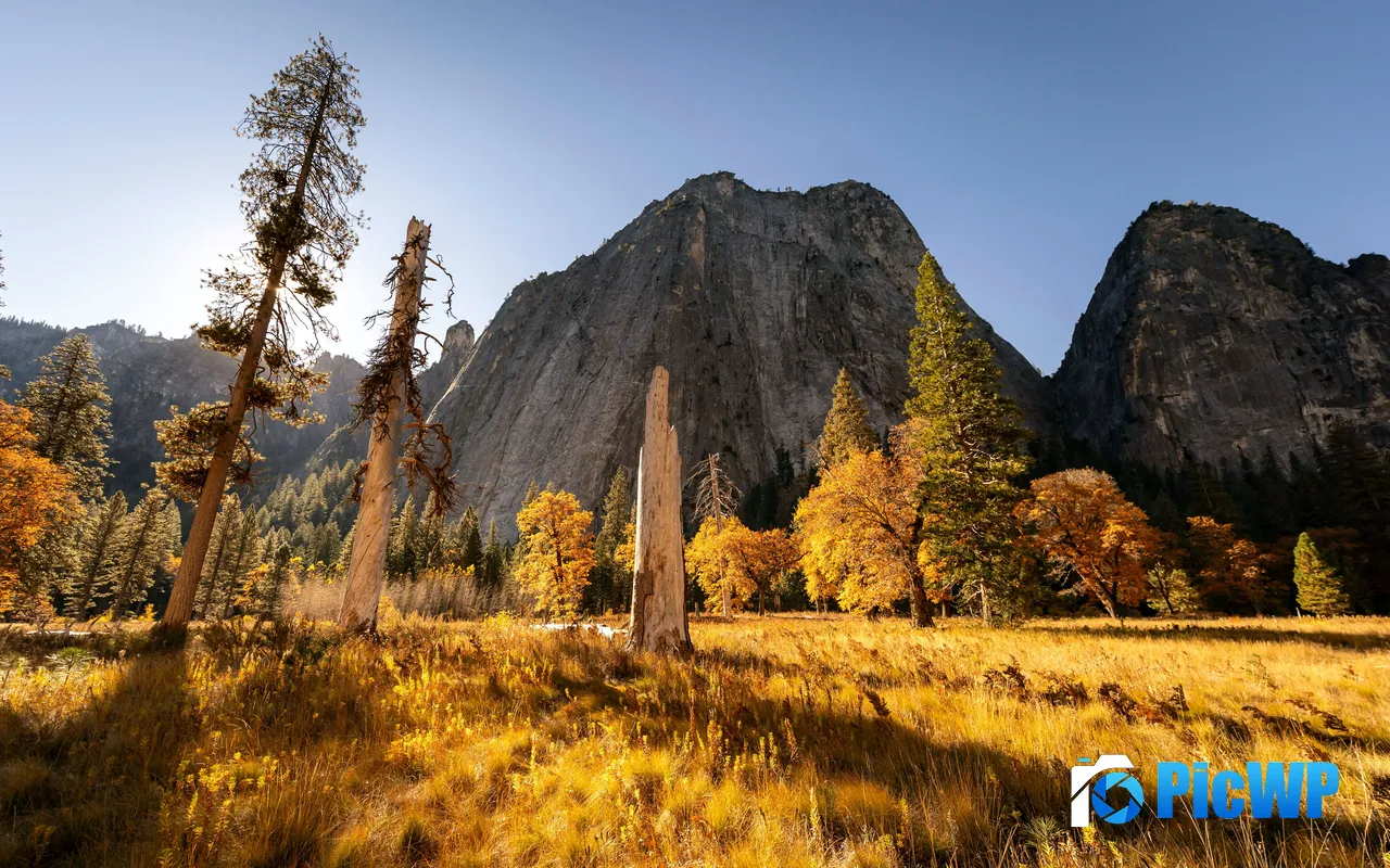 Autumn Sunlight Gold Trees Mountain Yosemite USA 5K PC Wallpaper