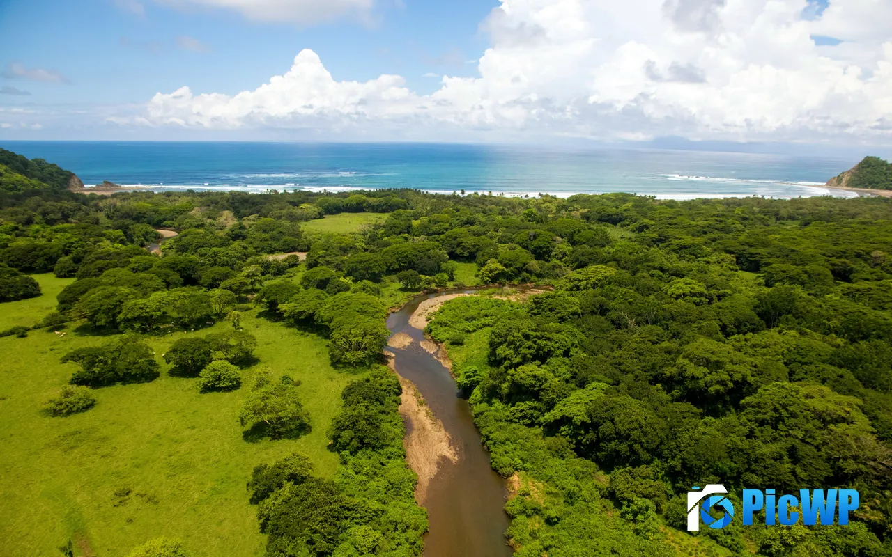 <font color=red>Forest</font> Coast Ocean Guanacaste Samara Costa Rica 5K PC Wallpaper