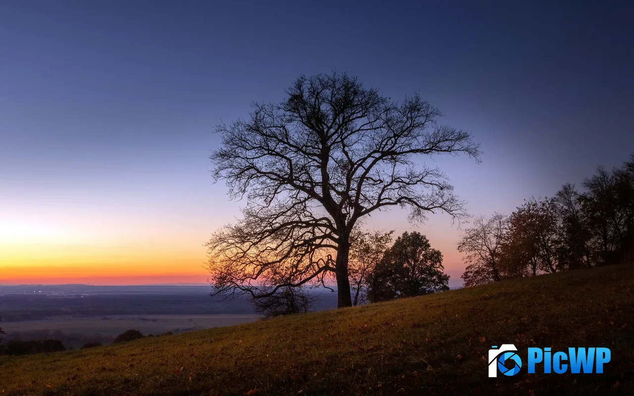 Hillside Dusk <font color=red>Sunset</font> Single tree Kuczynia Slovenia 5K PC Wallpaper