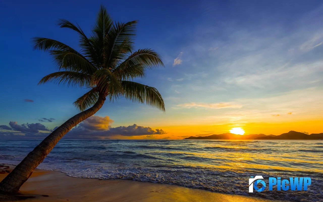 Peaceful <font color=red>Sunset</font> Beach Palm Trees Skyline 5K PC Wallpaper