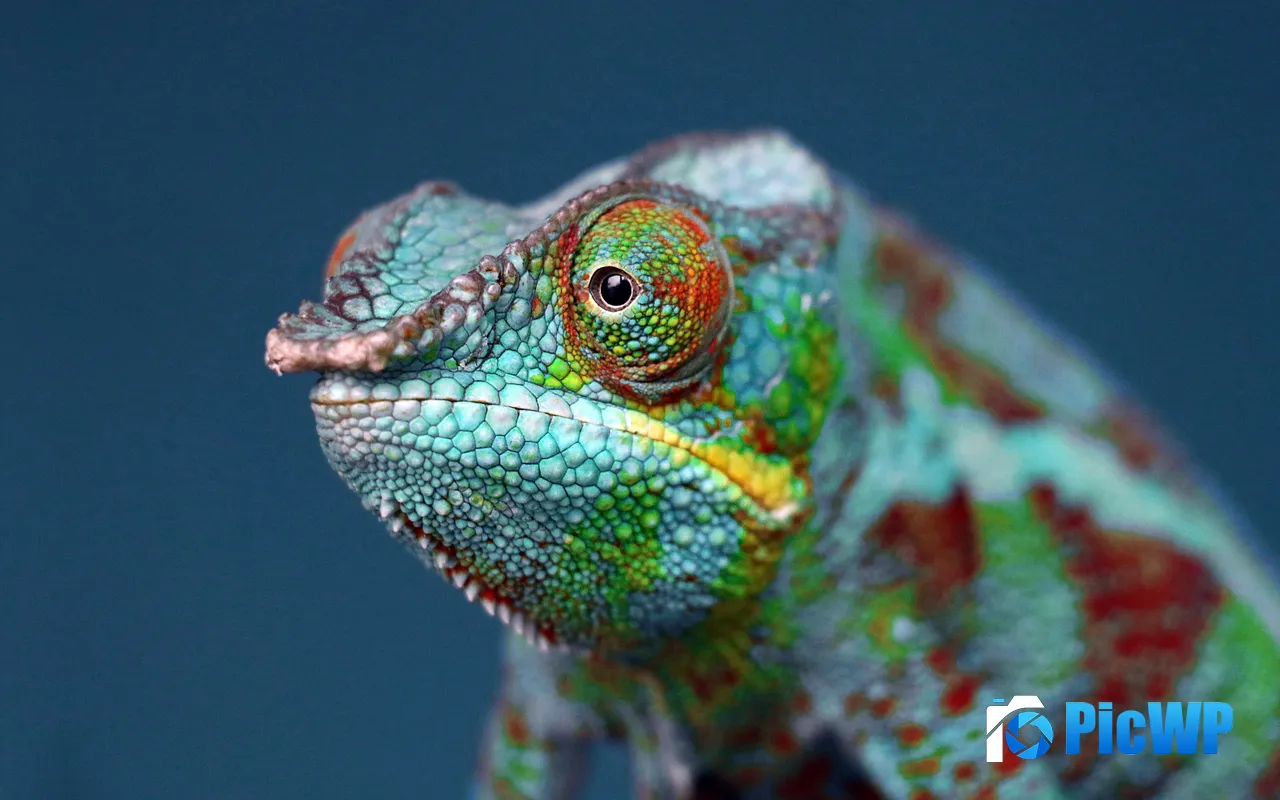 Green Chameleon Cute Animals Wild World 5K PC Wallpaper
