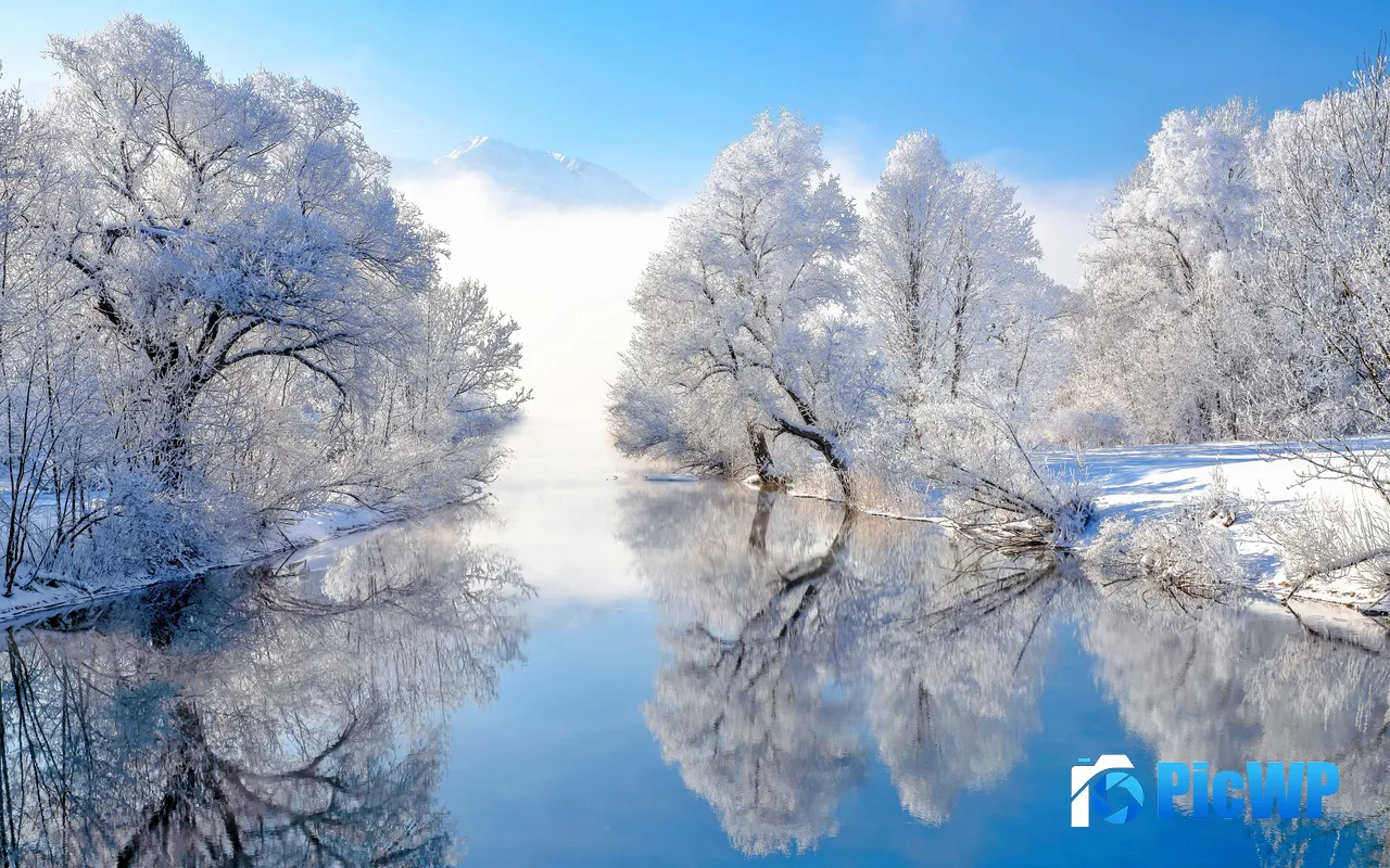 Winter Rime Jungle River Nature Scenery 5K PC Wallpaper