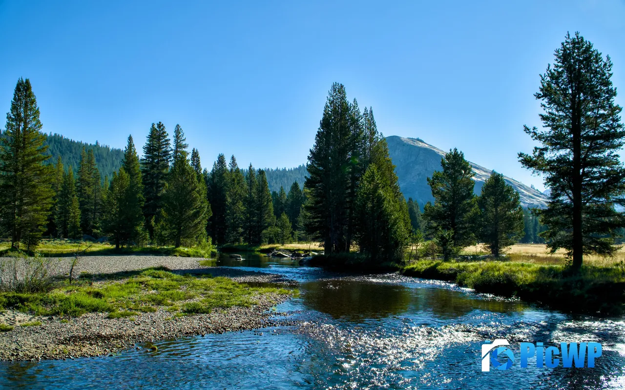 Summer River Tuolumne Meadows <font color=red>California</font> USA 5K PC Wallpaper