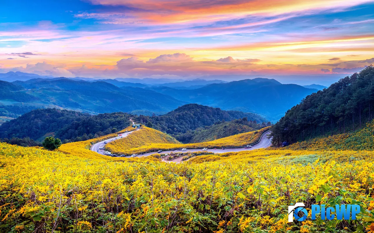 Winding Mountain Road Sunflower Field <font color=red>Sunset</font> Thailand 5K PC Wallpaper