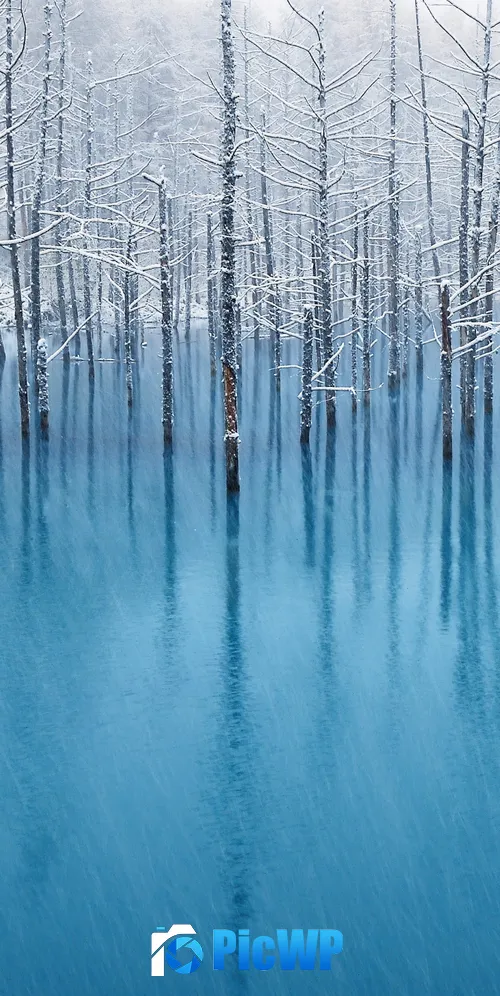 OS X Mountain Lion Winter 3K Mobile Wallpaper