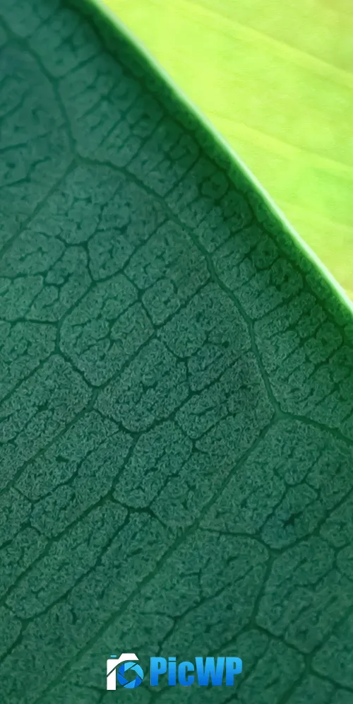 OS X Mountain Lion Green leaf 3K Mobile Wallpaper