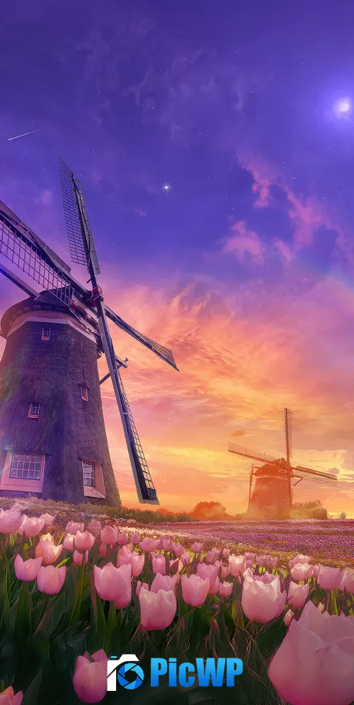 Tulips field Windmill 3K Mobile Wallpaper