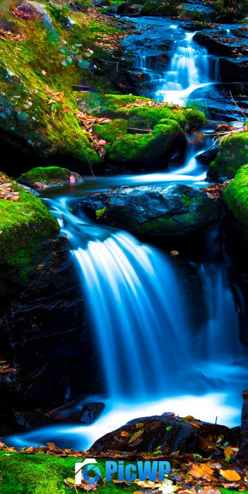 Mossy rocks Green Moss 3K Mobile Wallpaper