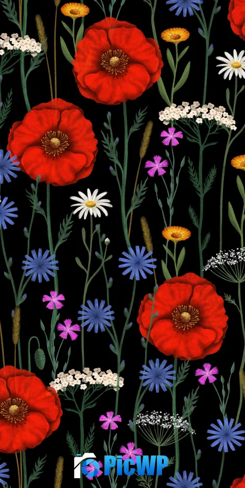 Poppies Floral designs 3K Mobile Wallpaper