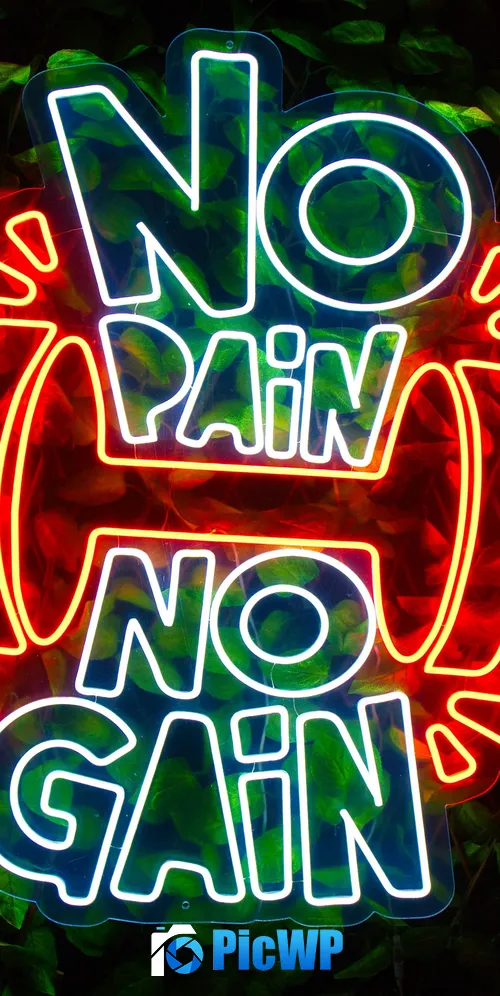 No pain No gain Neon sign 3K Mobile Wallpaper